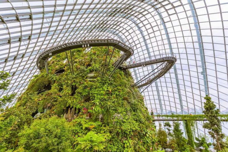 singapore-gardens-by-the-bay-admission-e-ticket