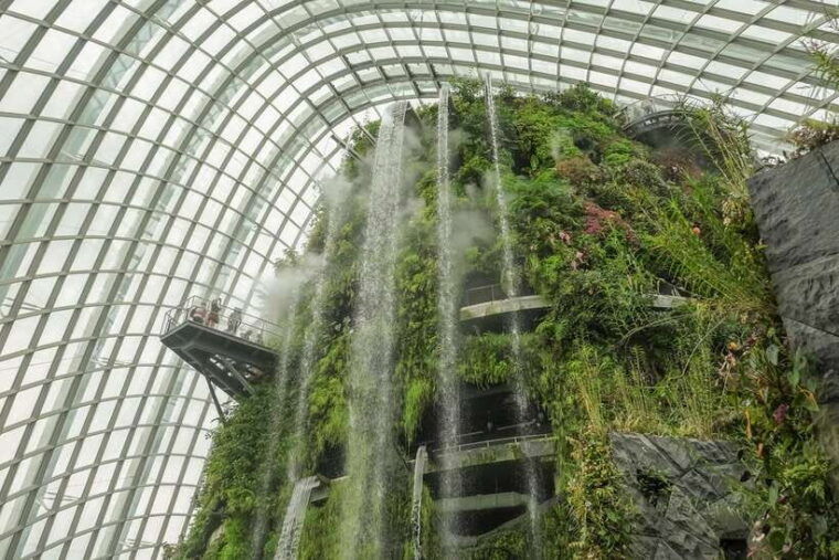 singapore-gardens-by-the-bay-admission-e-ticket