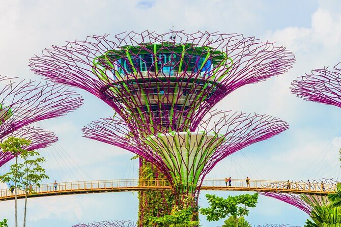 Singapore Gardens by the Bay Admission Skip-The-Line E-Ticket - Overview and What You Can Expect