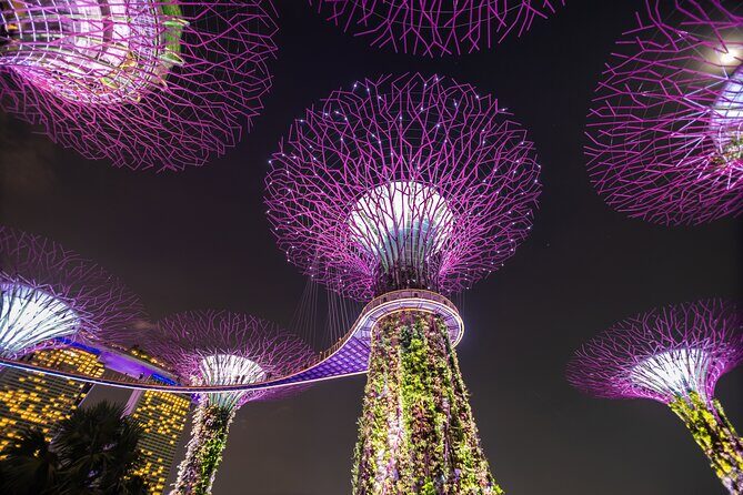 Singapore Gardens by the Bay Admission Skip-The-Line E-Ticket - Authentic Insights from Reviewers