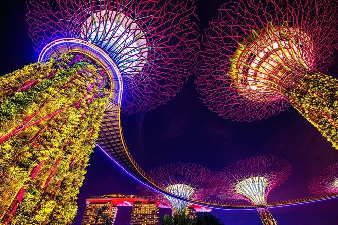 Singapore Gardens by the Bay Admission Skip-The-Line E-Ticket - The Sum Up