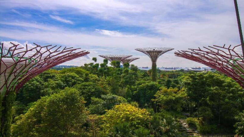 singapore-gardens-by-the-bay-bundle-entry-ticket