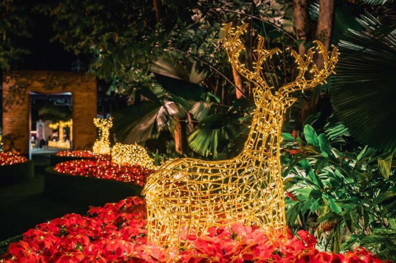 Singapore: Gardens by the Bay Entry Ticket Combo - The Bottom Line: Is it Worth It?