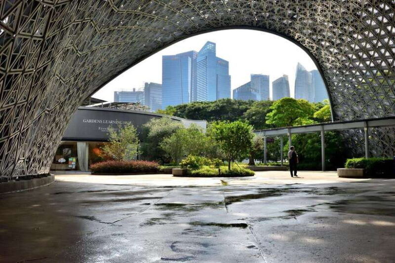 singapore-gardens-by-the-bay-guided-tour-photography