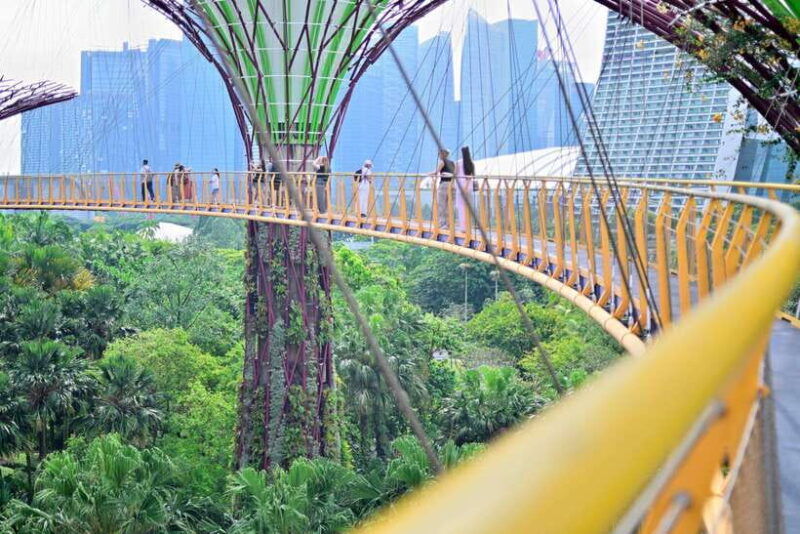 singapore-gardens-by-the-bay-guided-tour-photography