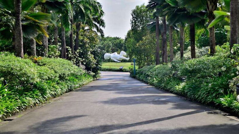 singapore-gardens-by-the-bay-guided-tour-photography