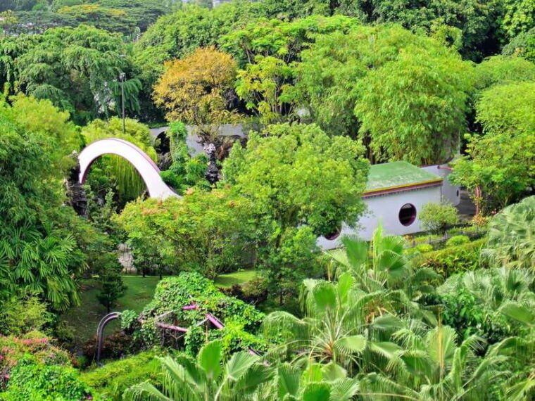 singapore-gardens-by-the-bay-guided-tour-photography