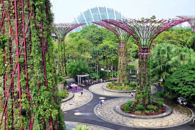 singapore-gardens-by-the-bay-guided-tour-photography