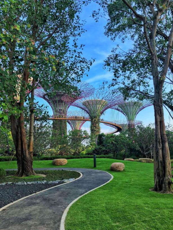 singapore-gardens-by-the-bay-guided-tour
