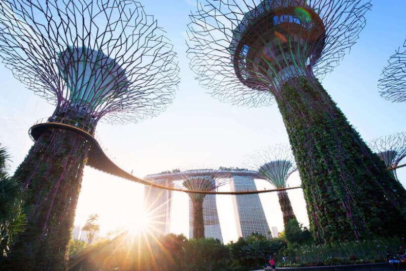 singapore-gardens-by-the-bay-guided-tour