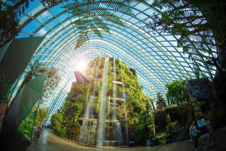 singapore-gardens-by-the-bay-guided-tour