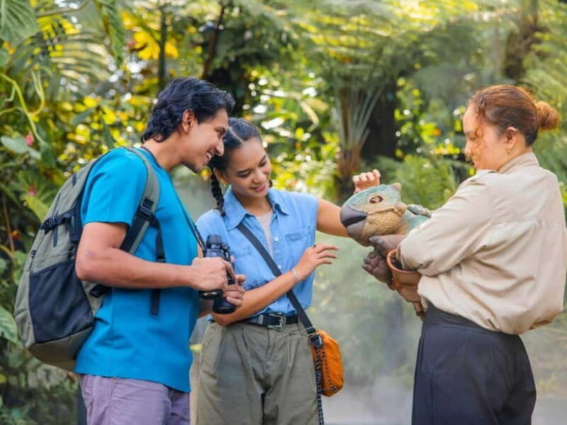 Singapore: Gardens by the Bay & Jurassic World with Pickup - What To Expect: Practical Information