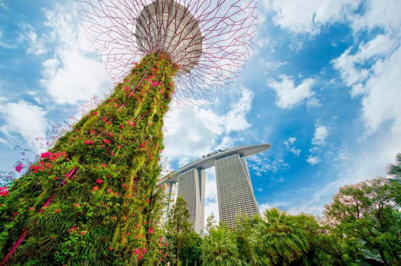 Singapore: Gardens by the Bay & Jurassic World with Pickup - Authentic Experiences & Traveler Insights
