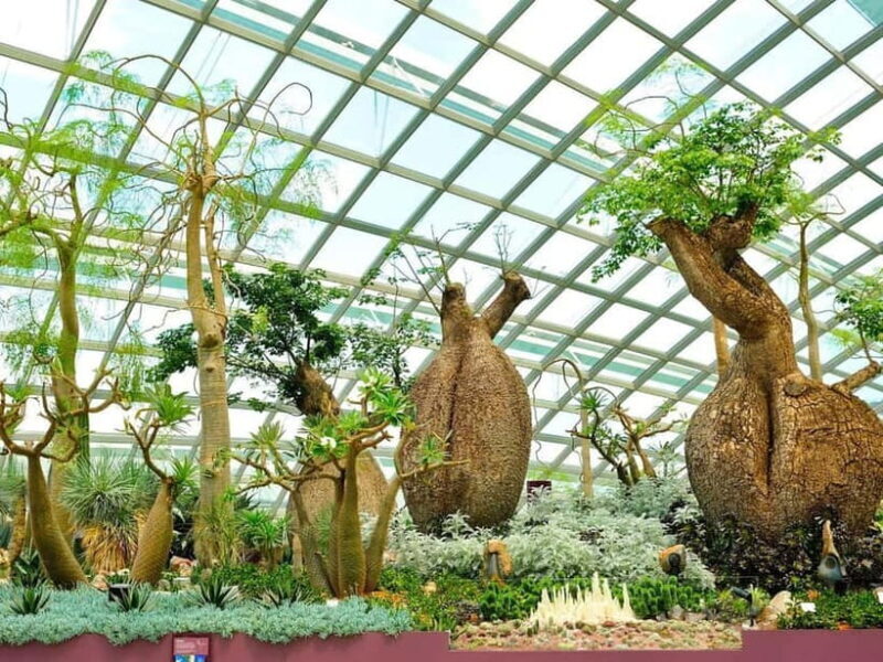 Singapore: Gardens by the Bay & Jurassic World with Pickup - FAQs