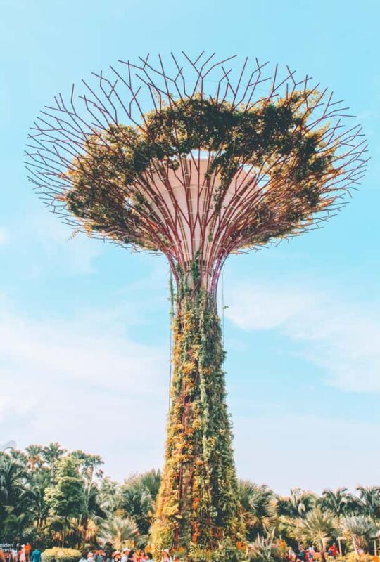Singapore: Gardens by the Bay & Sustainable Landmarks Tour - Practical Details and Value