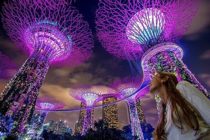 Singapore Guided Night Tour with 2 Light Shows & River Cruise - Why This Tour Works Well for Certain Travelers