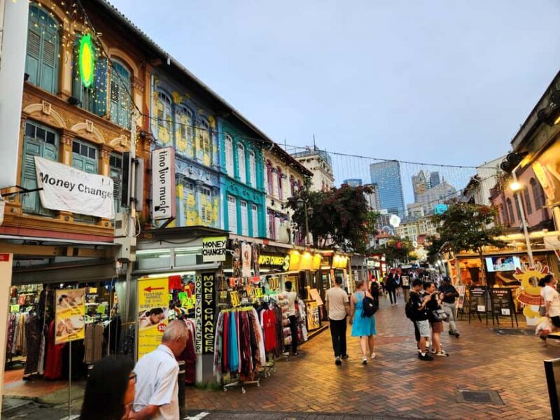 Singapore: Half-Day Chinatown Past and Present Tour - The Tour Experience: What to Expect