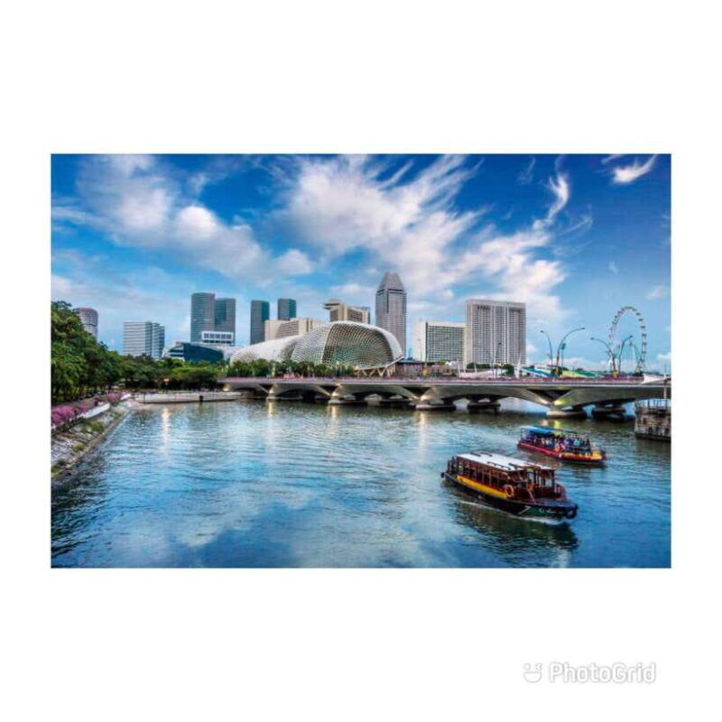 singapore-half-full-day-city-car-tour-mbs-chinatown