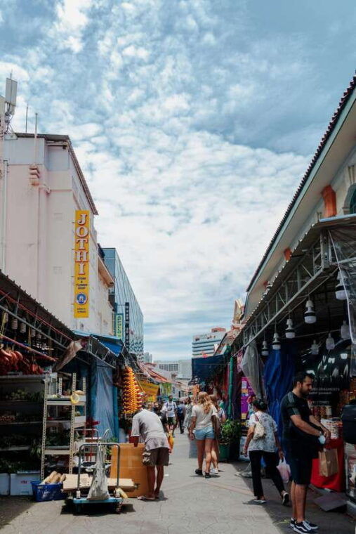 singapore-immersive-city-tour-with-local-snacks