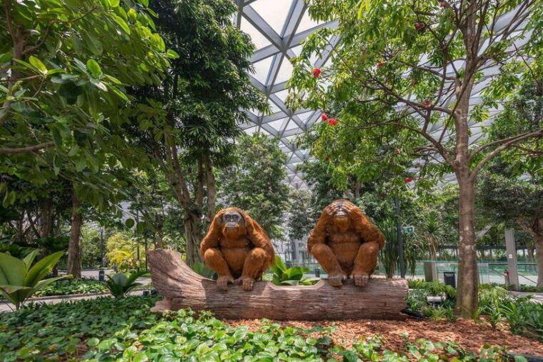 singapore-jewel-changi-airport-direct-entry-ticket