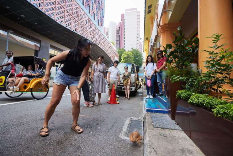 singapore-little-india-culture-and-food-experiential-tour