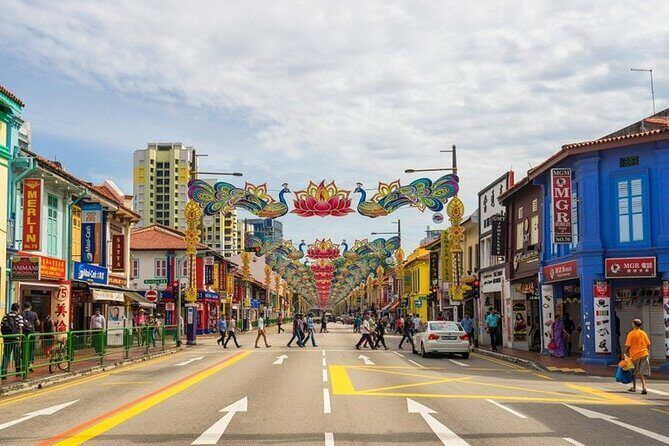 Singapore Little India Hidden Gems Walking Tour (Private & All-Inclusive) - Final Thoughts: Is This Tour Worth Your Time?