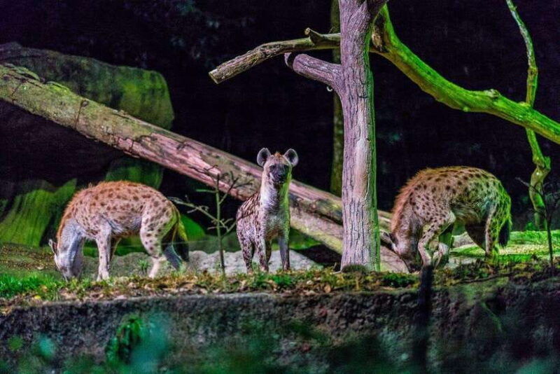 singapore-mandai-park-entry-with-choice-of-attractions