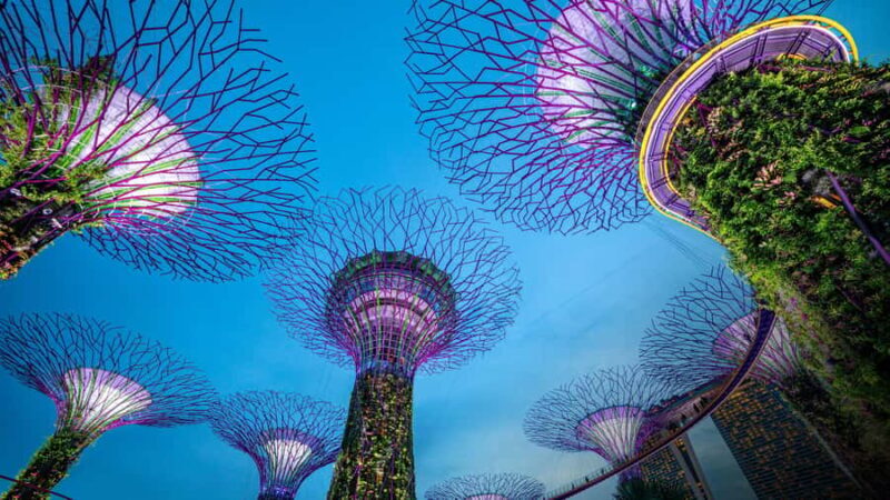 Singapore Marina Bay Night Walk with Spectra & Rhapsody Show - Who Will Love This Tour?