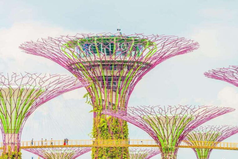 singapore-marina-bay-sands-gardens-by-the-bay-transfer