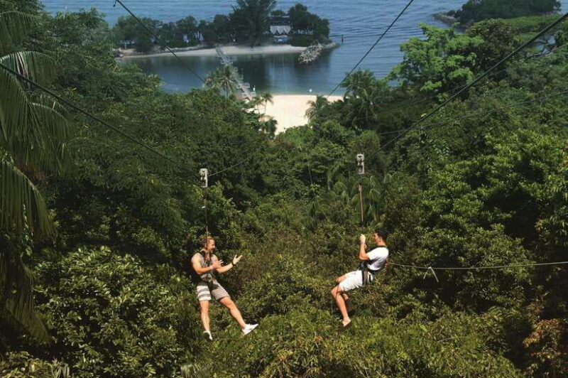 singapore-mega-adventure-zipline