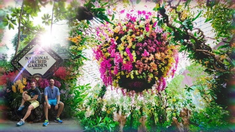 singapore-national-orchid-garden-admission