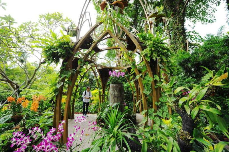 singapore-national-orchid-garden-entry-tickets