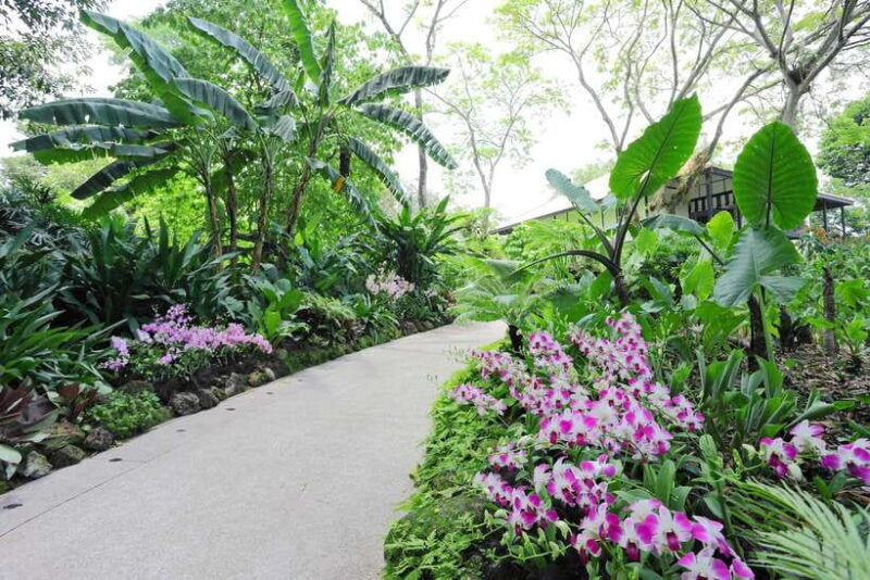 singapore-national-orchid-garden-entry-tickets
