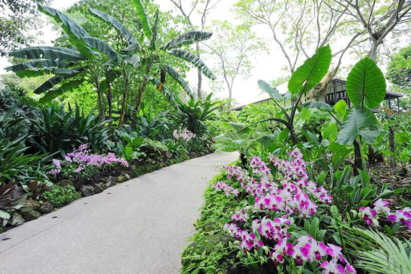singapore-national-orchid-garden-entry-tickets