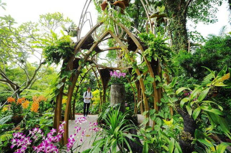 singapore-national-orchid-garden-entry-tickets