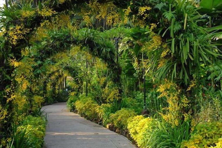 singapore-national-orchid-garden-entry-tickets