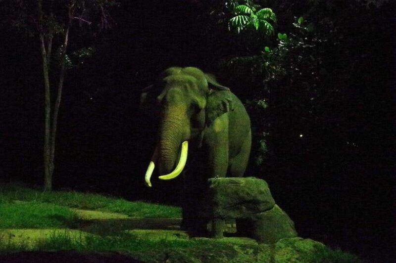 singapore-night-safari-singapore-w-tram