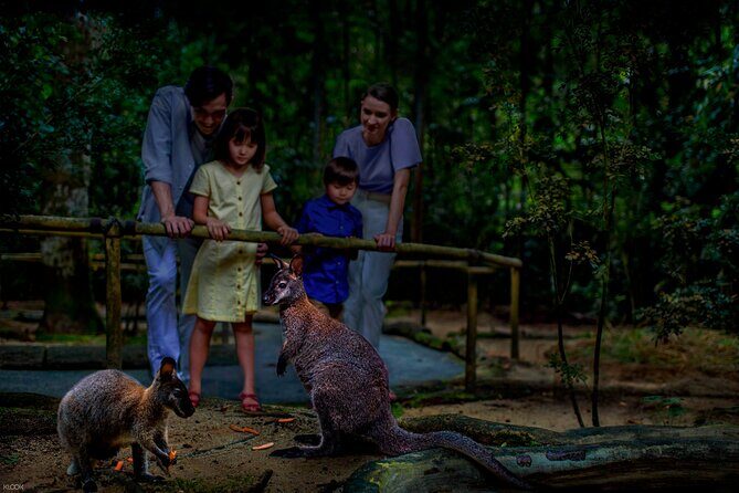 Singapore Night Safari Ticket Experience - FAQ