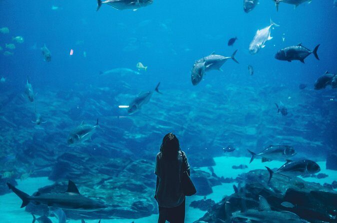 Singapore : Ocenarium One Day Ticket only - The Sum Up