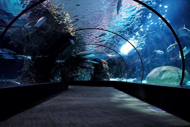 Singapore : Ocenarium One Day Ticket only - FAQ