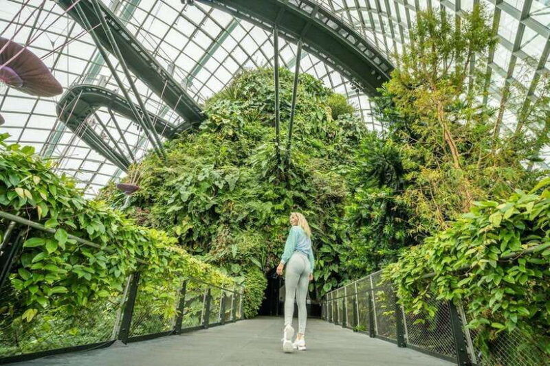 singapore-photography-marina-bay-sands-gardens-by-the-bay