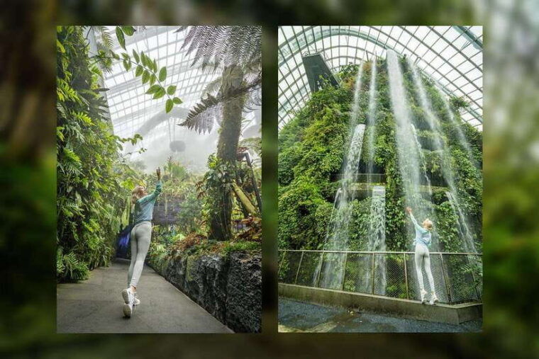 singapore-photography-marina-bay-sands-gardens-by-the-bay