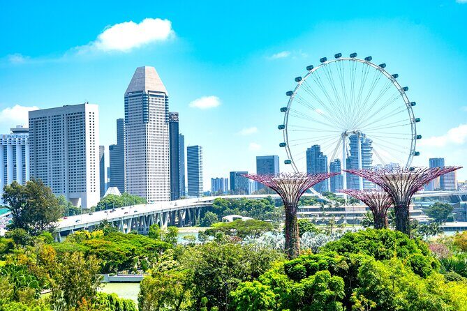 Singapore Private Customized City Tour with Driver - The Experience: What You Can Expect