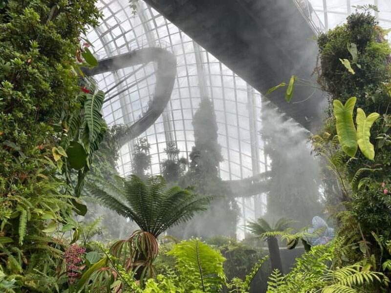 Singapore: Private Customized Tour with transportation - Why Choose a Private, Customized Tour in Singapore?