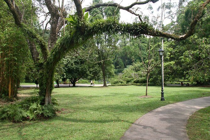 Singapore Private Tour with a Driver - Final Thoughts