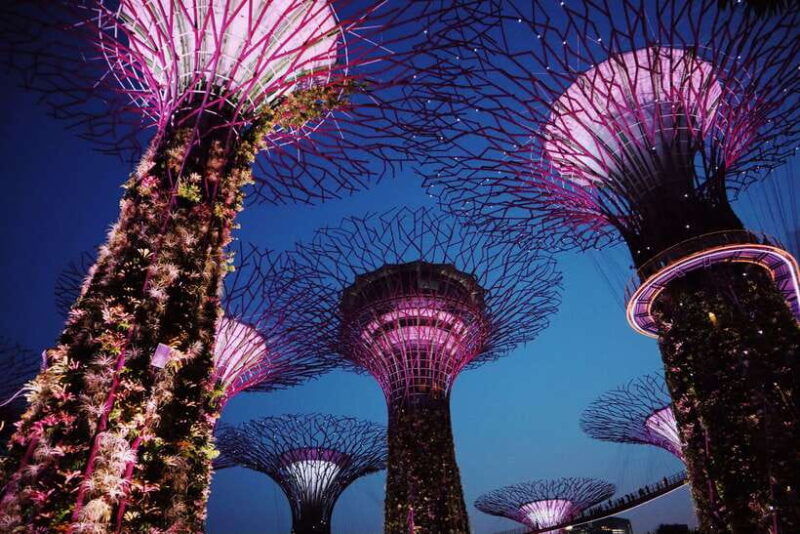 singapore-private-tour-with-a-local-guide