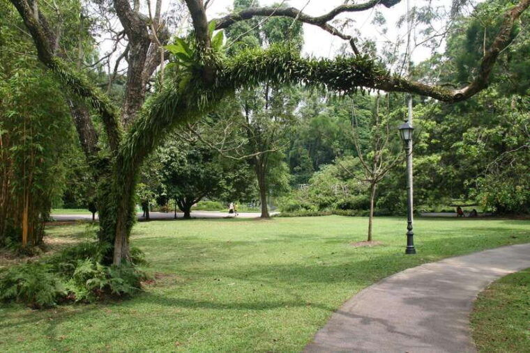 singapore-private-tour-with-a-local-guide