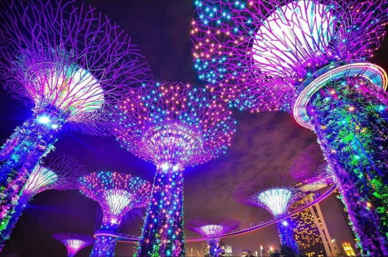 Singapore River Cruise and 2 Must-see Water Light Shows - Who Is This Tour For?