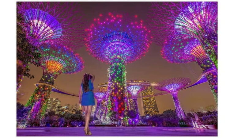 Singapore River Cruise, Spectra & Garden Rhapsody Light Show - Discovering the Tour: An In-Depth Breakdown