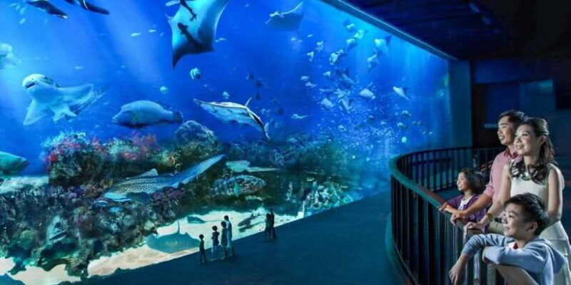 singapore-s-e-a-aquarium-entrance-e-ticket